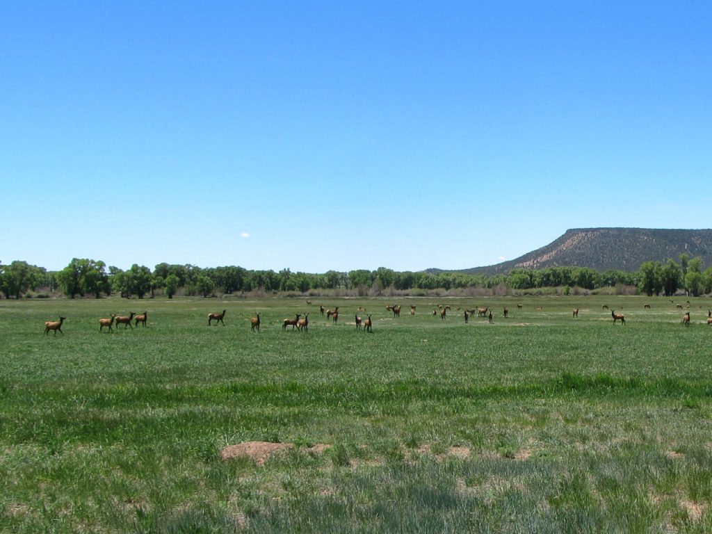 🌞 Fort Garland, Colorado 5+ Acre Mountain Base Camp Freedom Land Group