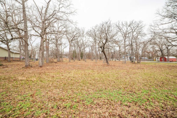🎣 Las Cruces, Malakoff, Texas - Point La Vista Lot 428, Cedar Creek Lake! Build Your Dream Home! - Image 3