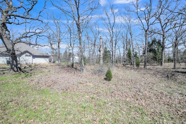 🎣 Malakoff, Texas - Point La Vista Lot 460, Cedar Creek Lake! Build Your Dream Home! - Image 3