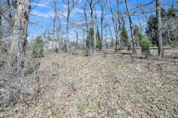 🎣 Malakoff, Texas - Point La Vista Lot 460, Cedar Creek Lake! Build Your Dream Home! - Image 5