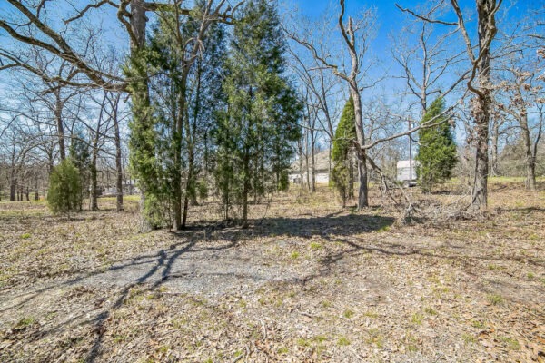 🎣 Malakoff, Texas - Point La Vista Lot 460, Cedar Creek Lake! Build Your Dream Home! - Image 6