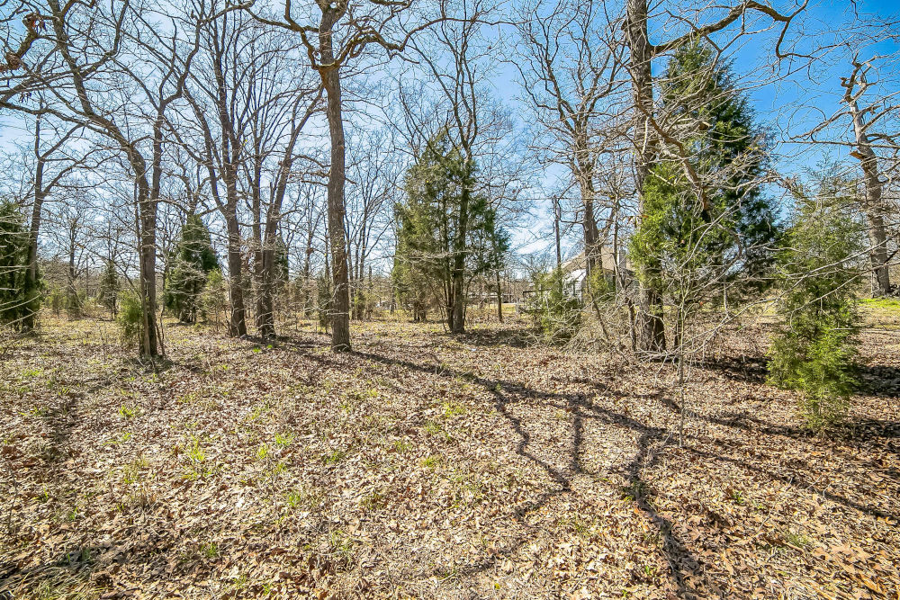 🎣 Malakoff, Texas - Point La Vista Lot 460, Cedar Creek Lake! Build Your Dream Home! - Image 10