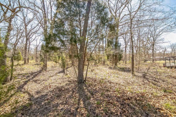 🎣 Malakoff, Texas - Point La Vista Lot 460, Cedar Creek Lake! Build Your Dream Home! - Image 10