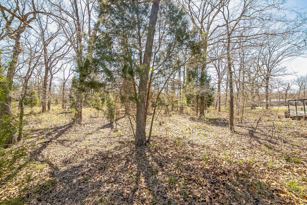 🎣 Malakoff, Texas - Point La Vista Lot 460, Cedar Creek Lake! Build Your Dream Home! - Image 11