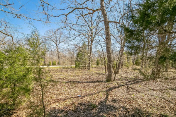 🎣 Malakoff, Texas - Point La Vista Lot 460, Cedar Creek Lake! Build Your Dream Home! - Image 8