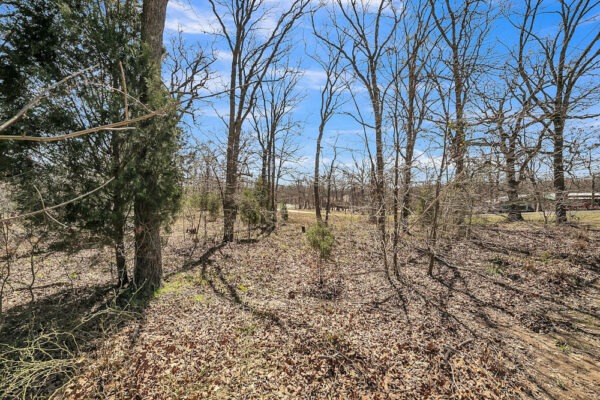 🎣 Malakoff, Texas - Point La Vista Lot 460, Cedar Creek Lake! Build Your Dream Home! - Image 12