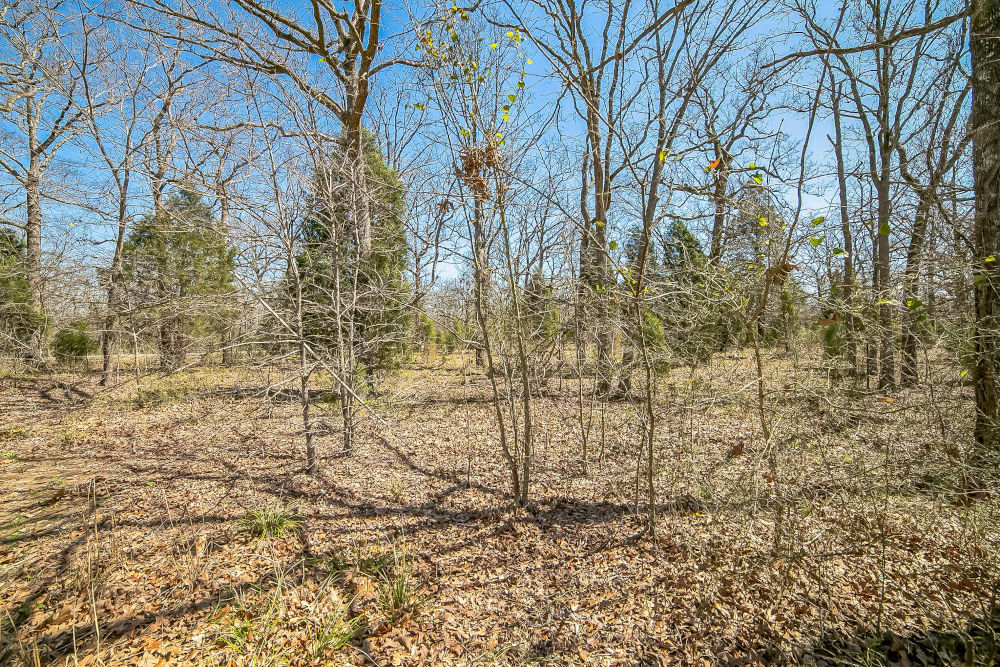 🎣 Malakoff, Texas - Point La Vista Lot 460, Cedar Creek Lake! Build Your Dream Home! - Image 16