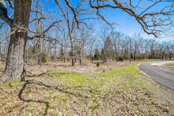 🎣 Malakoff, Texas - Point La Vista Lot 460, Cedar Creek Lake! Build Your Dream Home! - Image 14