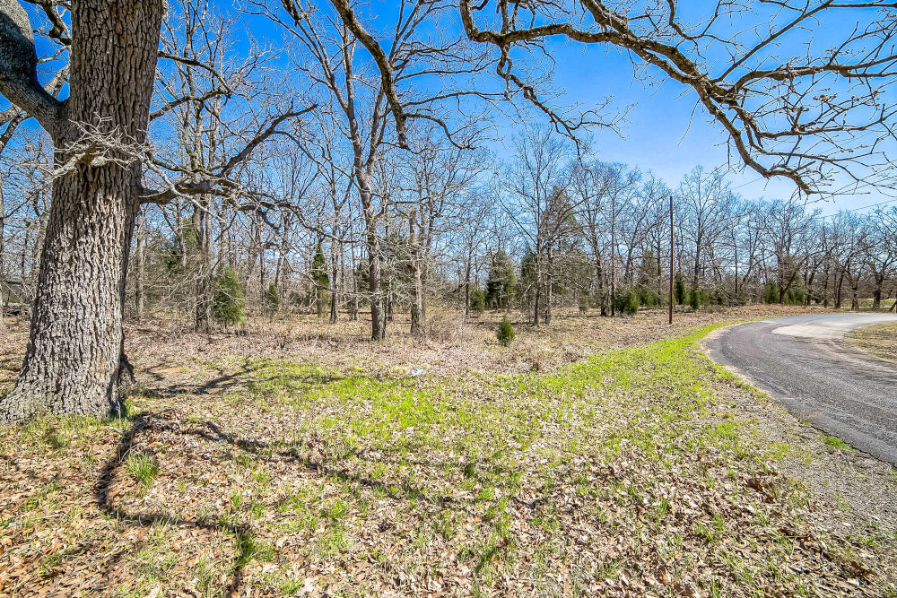 🎣 Malakoff, Texas - Point La Vista Lot 460, Cedar Creek Lake! Build Your Dream Home! - Image 15